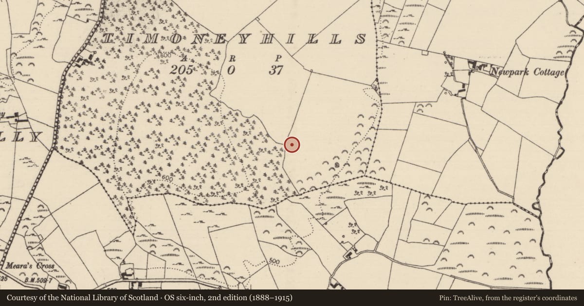 Ordnance Survey six-inch map, 2nd edition (1888–1915) covering the location of Standing stone, Timoney Hills, County Tipperary North, with a pin at the register's coordinates