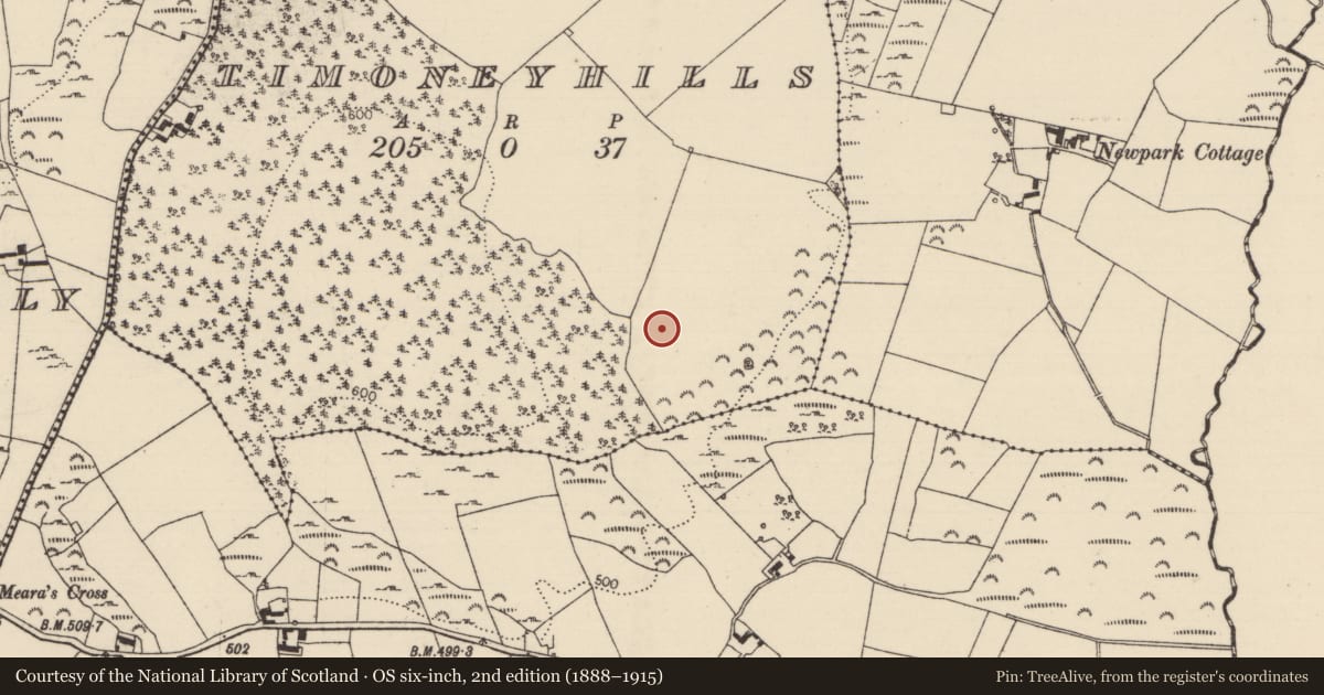 Ordnance Survey six-inch map, 2nd edition (1888–1915) covering the location of Standing stone, Timoney Hills, County Tipperary North, with a pin at the register's coordinates