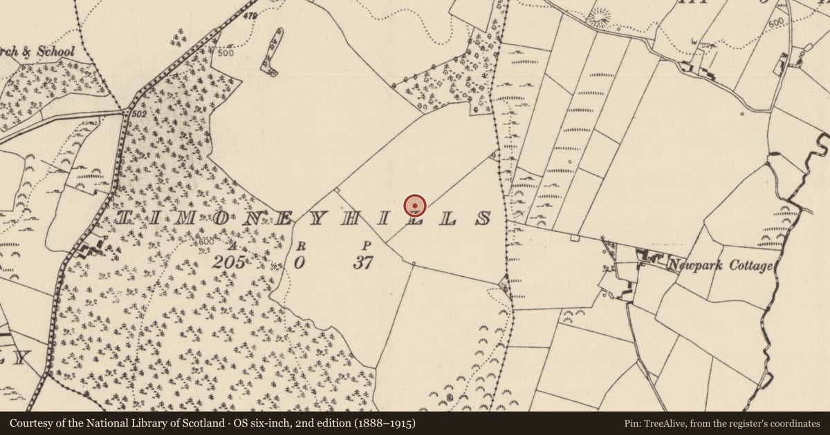 Ordnance Survey six-inch map, 2nd edition (1888–1915) covering the location of Standing stone, Timoney Hills, County Tipperary North, with a pin at the register's coordinates