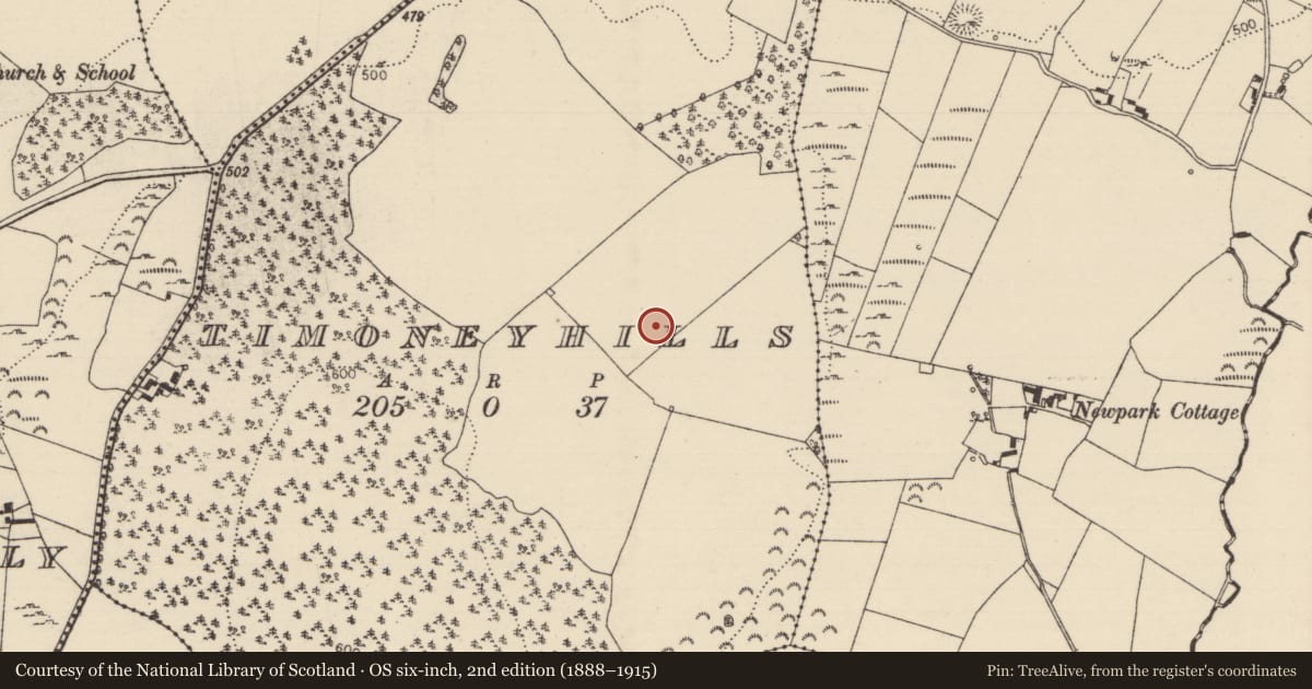 Ordnance Survey six-inch map, 2nd edition (1888–1915) covering the location of Standing stone, Timoney Hills, County Tipperary North, with a pin at the register's coordinates