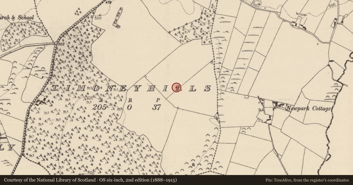 Ordnance Survey six-inch map, 2nd edition (1888–1915) covering the location of Standing stone, Timoney Hills, County Tipperary North, with a pin at the register's coordinates