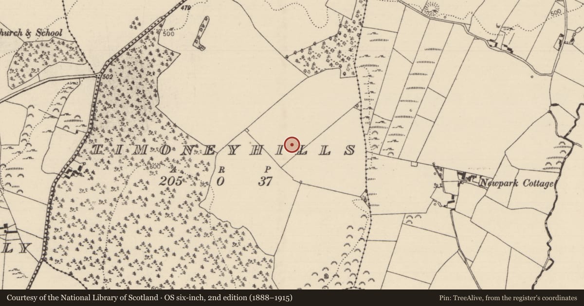 Ordnance Survey six-inch map, 2nd edition (1888–1915) covering the location of Standing stone, Timoney Hills, County Tipperary North, with a pin at the register's coordinates