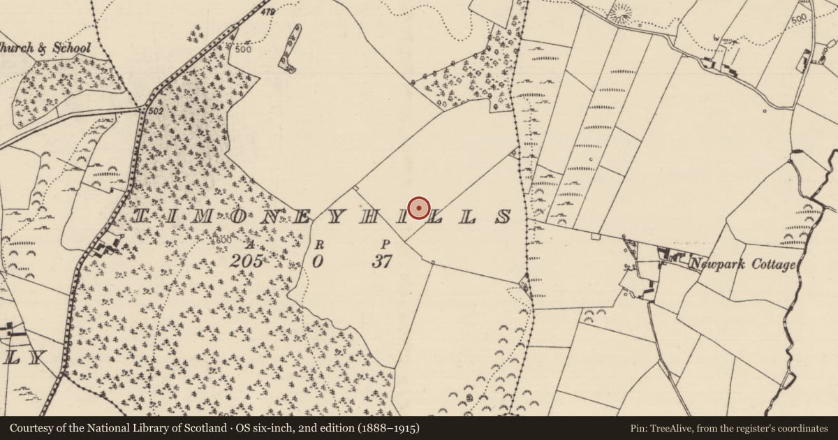 Ordnance Survey six-inch map, 2nd edition (1888–1915) covering the location of Standing stone, Timoney Hills, County Tipperary North, with a pin at the register's coordinates