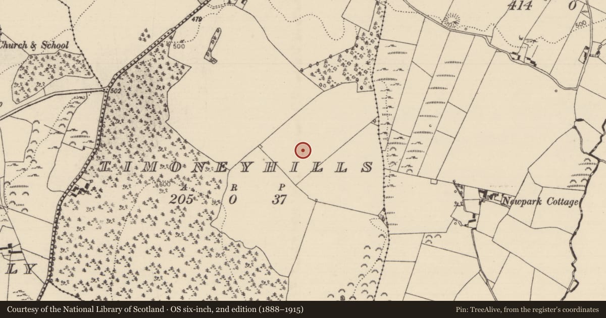 Ordnance Survey six-inch map, 2nd edition (1888–1915) covering the location of Standing stone, Timoney Hills, County Tipperary North, with a pin at the register's coordinates