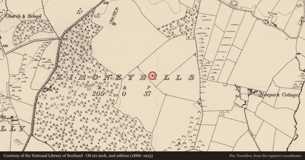Ordnance Survey six-inch map, 2nd edition (1888–1915) covering the location of Standing stone, Timoney Hills, County Tipperary North, with a pin at the register's coordinates