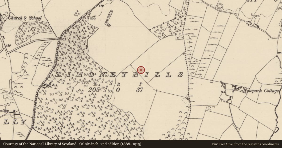 Ordnance Survey six-inch map, 2nd edition (1888–1915) covering the location of Standing stone, Timoney Hills, County Tipperary North, with a pin at the register's coordinates