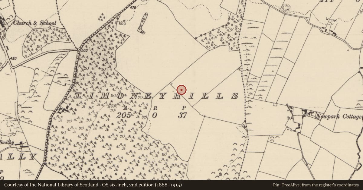 Ordnance Survey six-inch map, 2nd edition (1888–1915) covering the location of Standing stone, Timoney Hills, County Tipperary North, with a pin at the register's coordinates