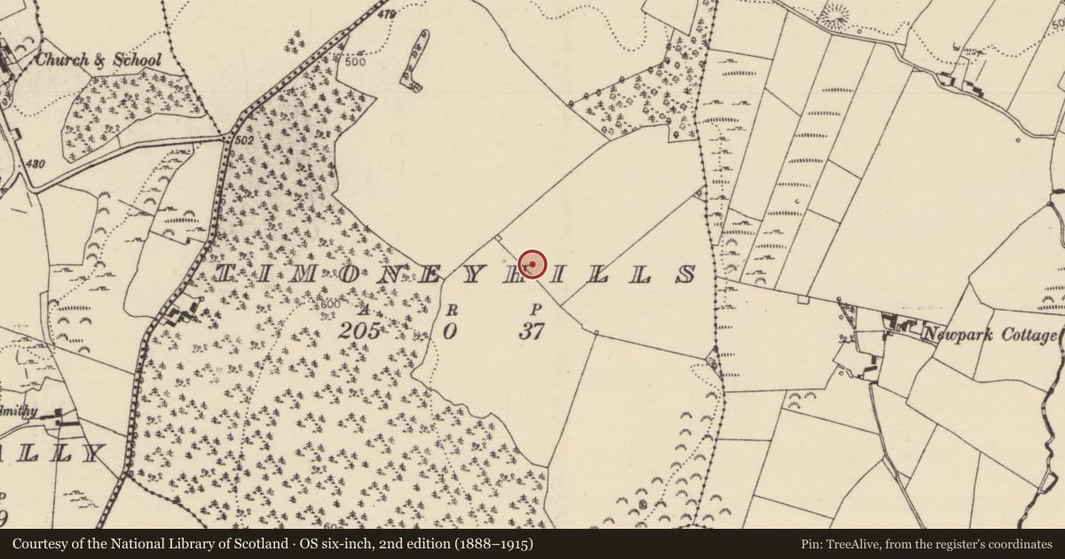 Ordnance Survey six-inch map, 2nd edition (1888–1915) covering the location of Standing stone, Timoney Hills, County Tipperary North, with a pin at the register's coordinates
