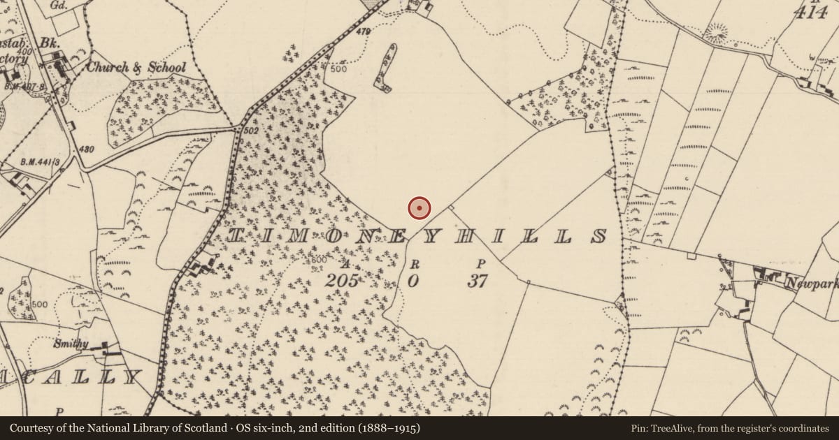 Ordnance Survey six-inch map, 2nd edition (1888–1915) covering the location of Standing stone, Timoney Hills, County Tipperary North, with a pin at the register's coordinates
