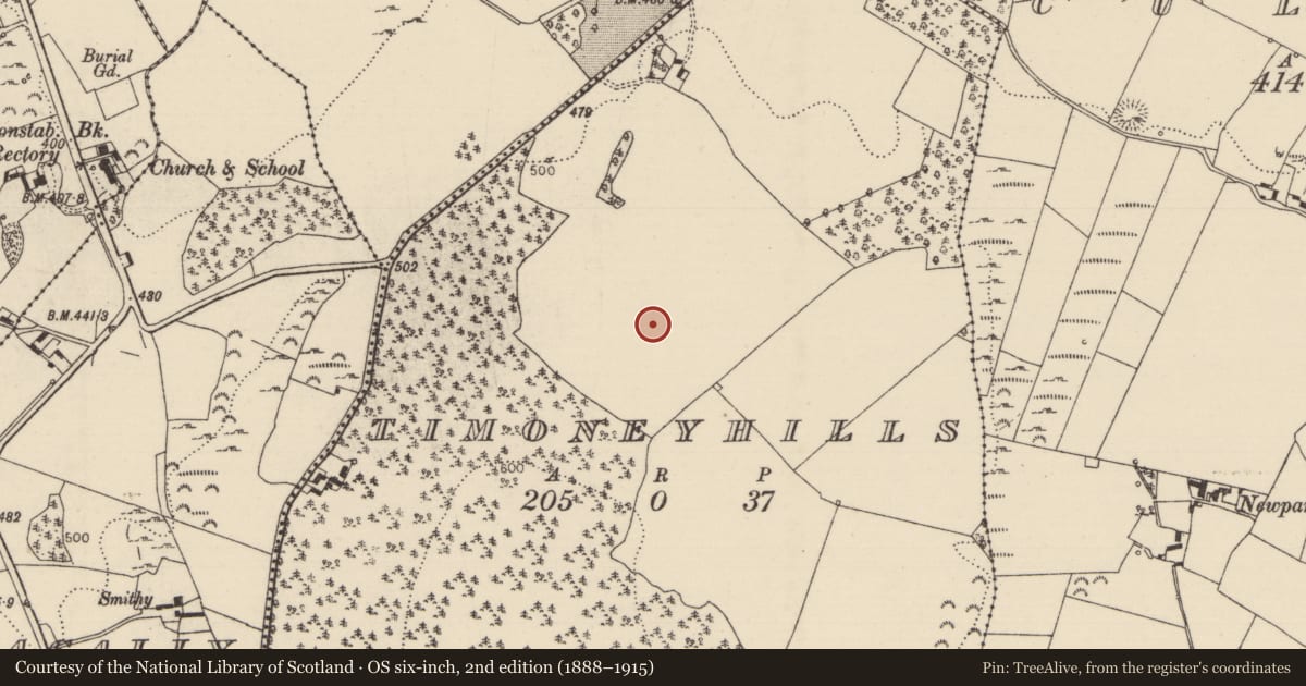 Ordnance Survey six-inch map, 2nd edition (1888–1915) covering the location of Standing stone, Timoney Hills, County Tipperary North, with a pin at the register's coordinates