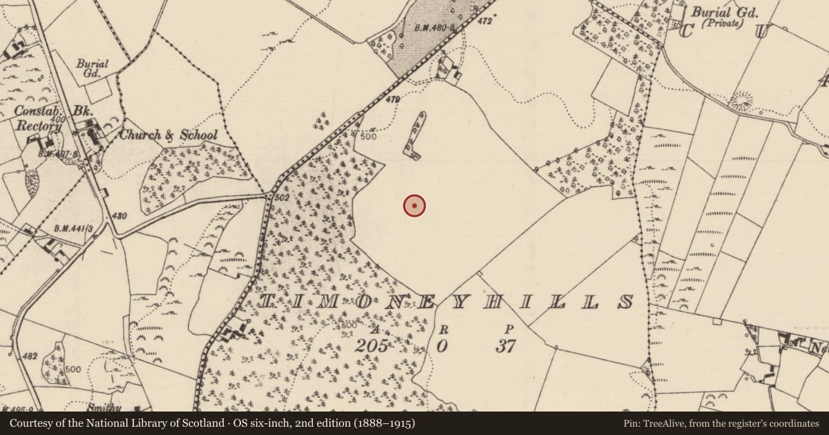 Ordnance Survey six-inch map, 2nd edition (1888–1915) covering the location of Standing stone, Timoney Hills, County Tipperary North, with a pin at the register's coordinates