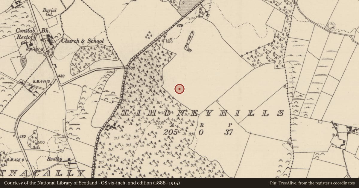 Ordnance Survey six-inch map, 2nd edition (1888–1915) covering the location of Standing stone, Timoney Hills, County Tipperary North, with a pin at the register's coordinates