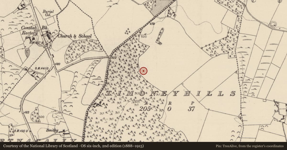 Ordnance Survey six-inch map, 2nd edition (1888–1915) covering the location of Standing stone, Timoney Hills, County Tipperary North, with a pin at the register's coordinates
