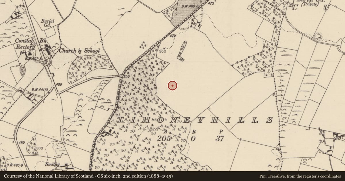 Ordnance Survey six-inch map, 2nd edition (1888–1915) covering the location of Standing stone, Timoney Hills, County Tipperary North, with a pin at the register's coordinates