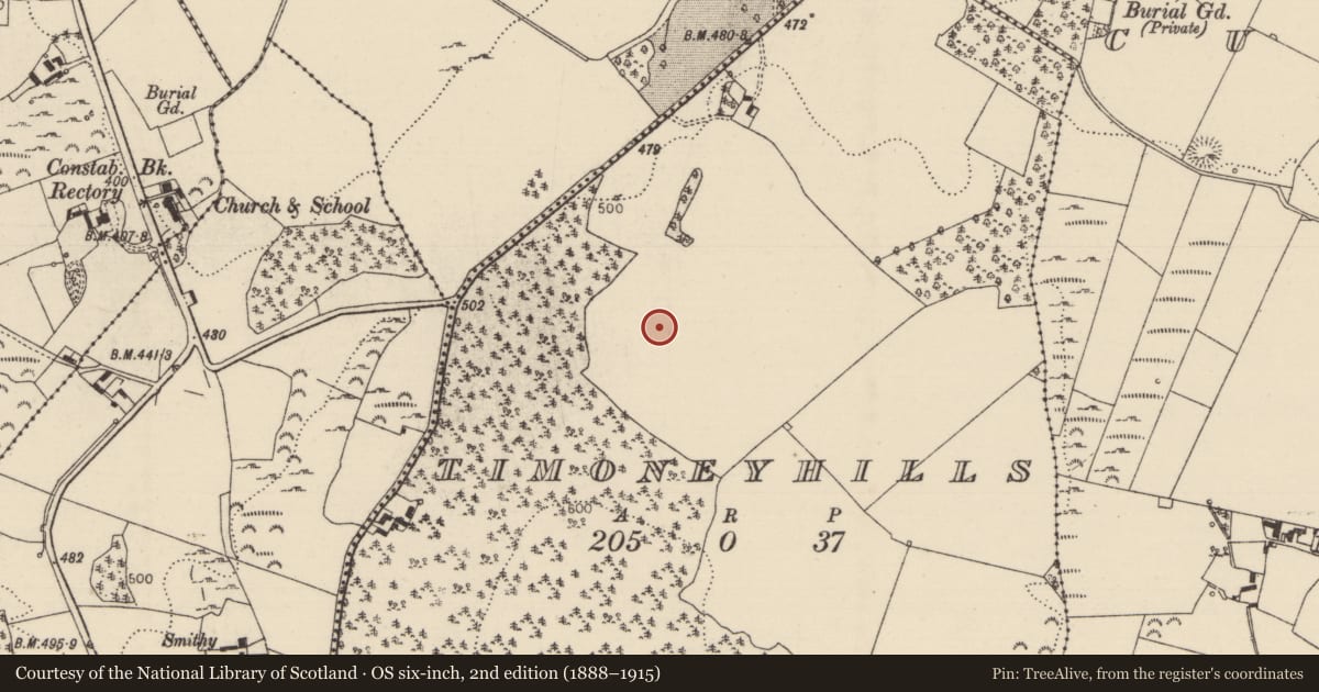 Ordnance Survey six-inch map, 2nd edition (1888–1915) covering the location of Standing stone, Timoney Hills, County Tipperary North, with a pin at the register's coordinates