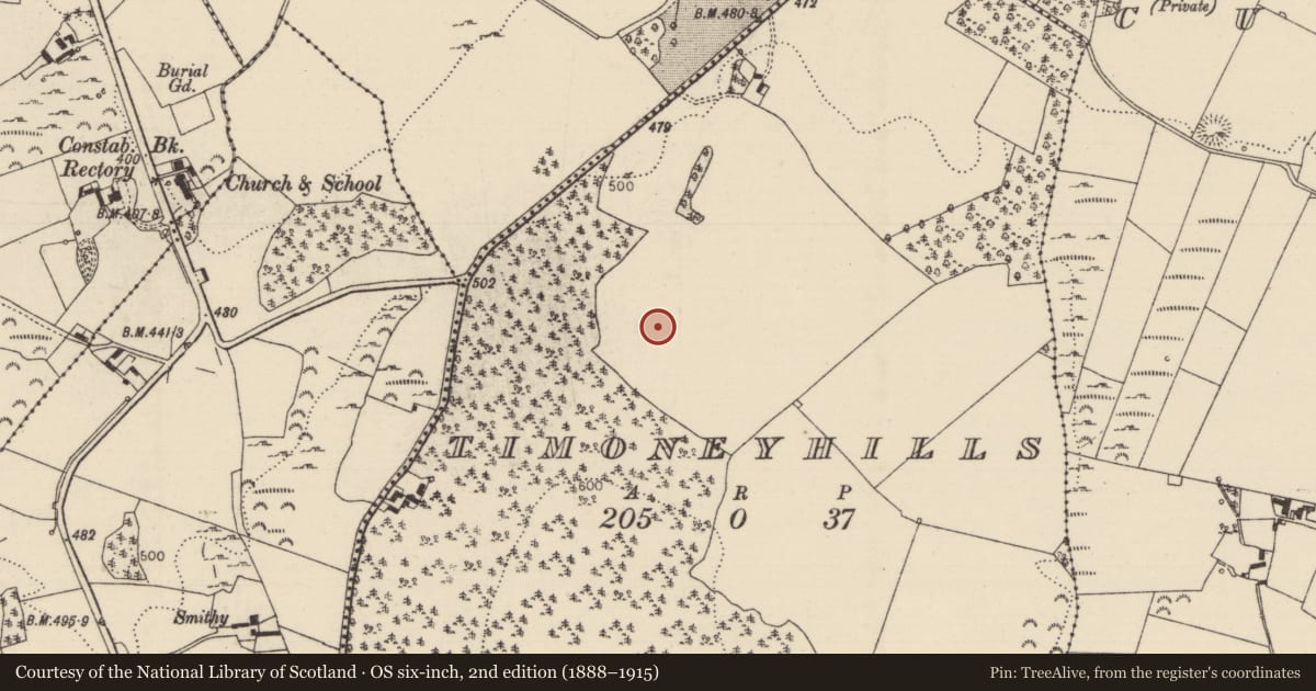 Ordnance Survey six-inch map, 2nd edition (1888–1915) covering the location of Standing stone, Timoney Hills, County Tipperary North, with a pin at the register's coordinates