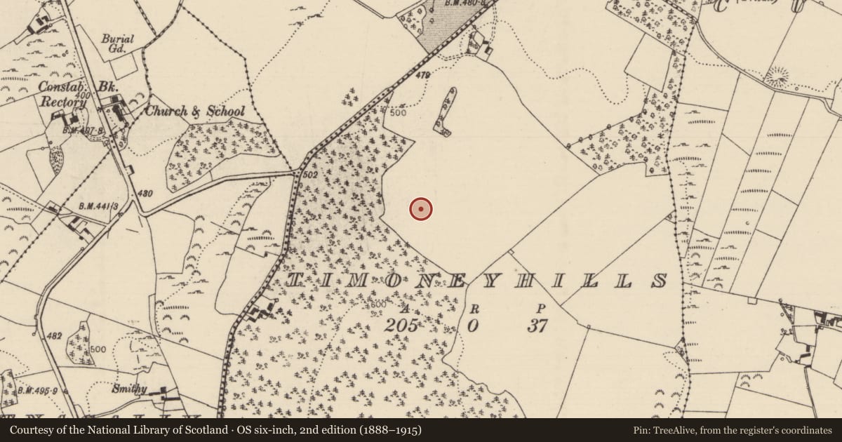 Ordnance Survey six-inch map, 2nd edition (1888–1915) covering the location of Standing stone, Timoney Hills, County Tipperary North, with a pin at the register's coordinates