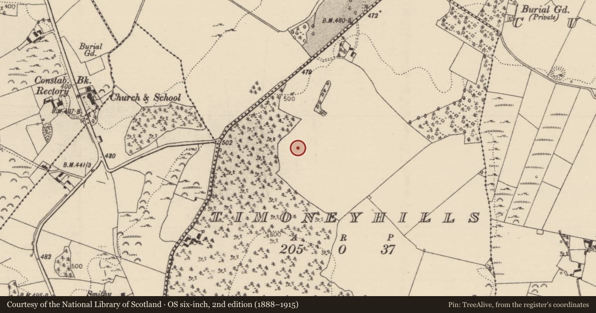 Ordnance Survey six-inch map, 2nd edition (1888–1915) covering the location of Standing stone, Timoney Hills, County Tipperary North, with a pin at the register's coordinates