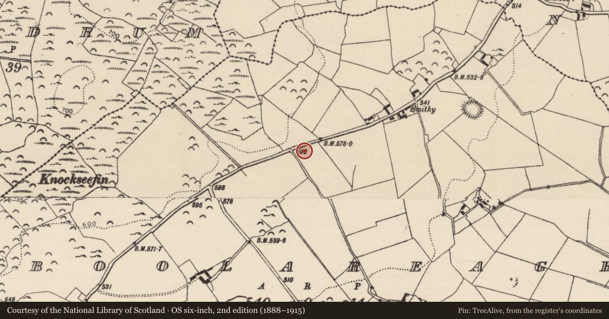 Ordnance Survey six-inch map, 2nd edition (1888–1915) covering the location of Souterrain, Boolareagh, County Tipperary North, with a pin at the register's coordinates