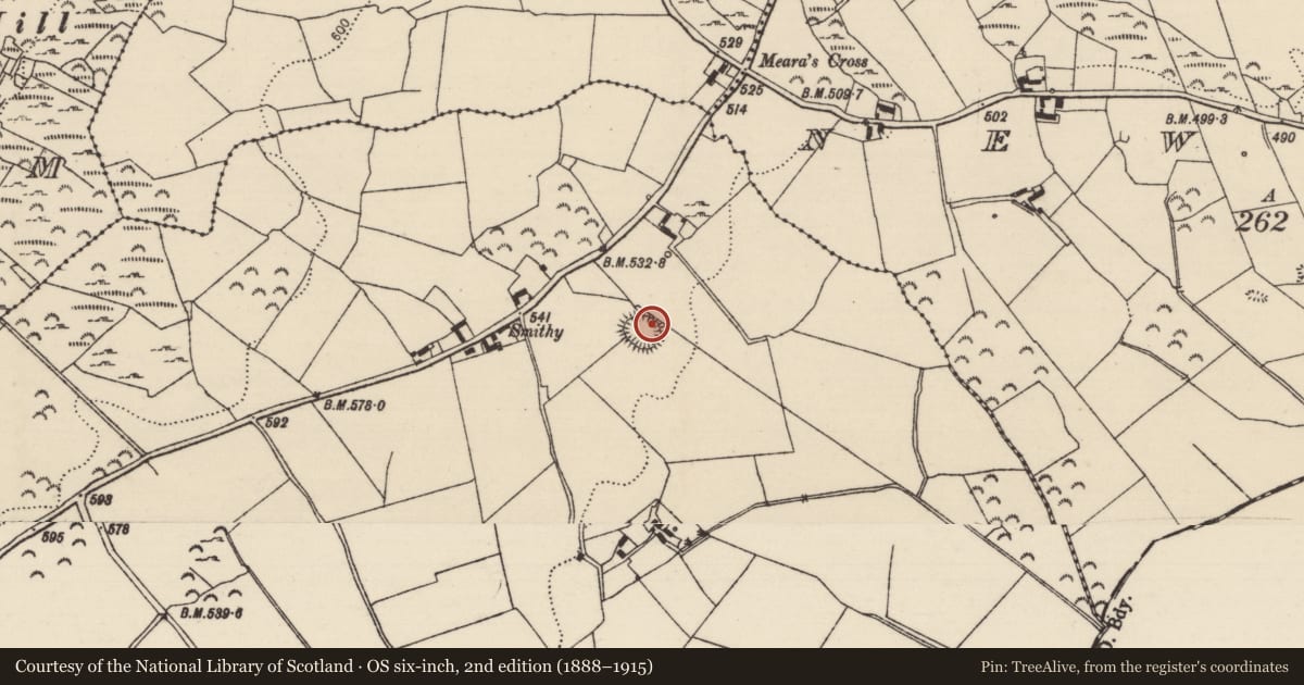 Ordnance Survey six-inch map, 2nd edition (1888–1915) covering the location of Ringfort - rath, Boolareagh, County Tipperary North, with a pin at the register's coordinates