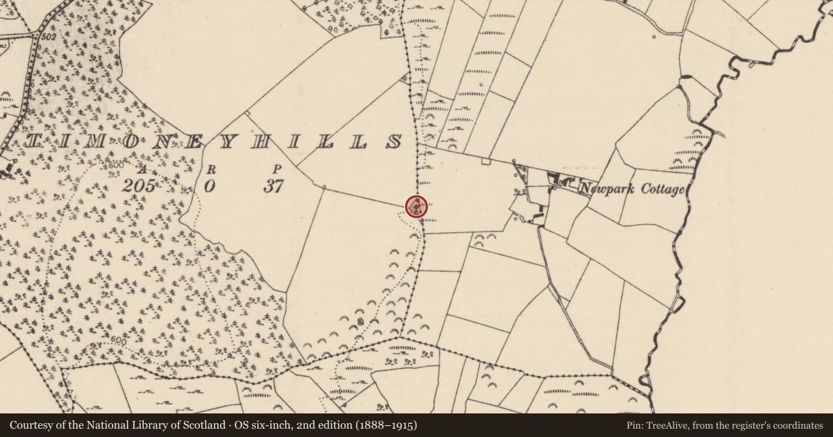 Ordnance Survey six-inch map, 2nd edition (1888–1915) covering the location of Fulacht fia, Cullaun, Timoney Hills, County Tipperary North, with a pin at the register's coordinates