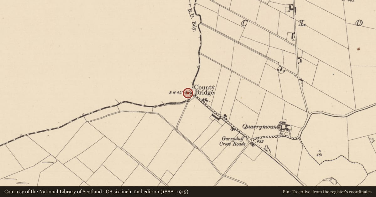 Ordnance Survey six-inch map, 2nd edition (1888–1915) covering the location of Enclosure, Newtown (Bourney Par.), County Tipperary North, with a pin at the register's coordinates