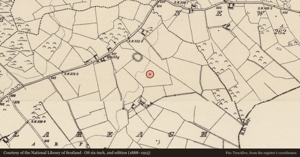 Ordnance Survey six-inch map, 2nd edition (1888–1915) covering the location of Linear earthwork, Boolareagh, County Tipperary North, with a pin at the register's coordinates