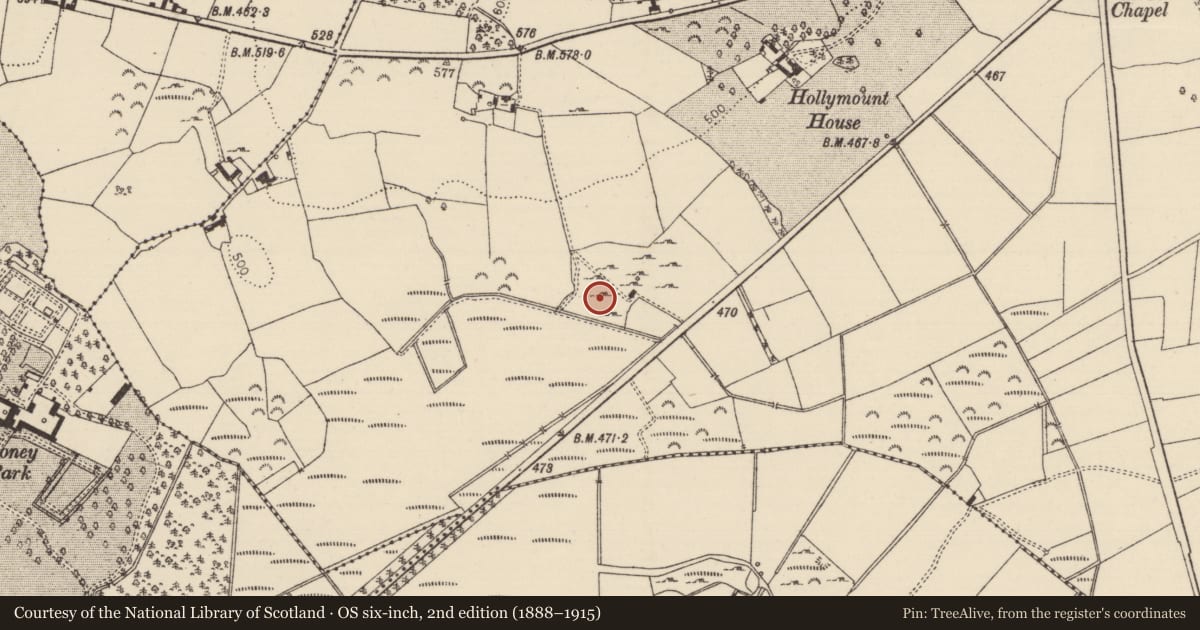Ordnance Survey six-inch map, 2nd edition (1888–1915) covering the location of Burnt mound, Rockforest, County Tipperary North, with a pin at the register's coordinates