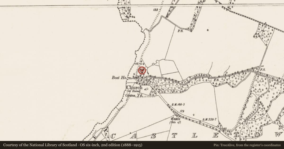 Ordnance Survey six-inch map, 2nd edition (1888–1915) covering the location of Castle - unclassified, Castletown (Castletownarra Par.), County Tipperary North, with a pin at the register's coordinates