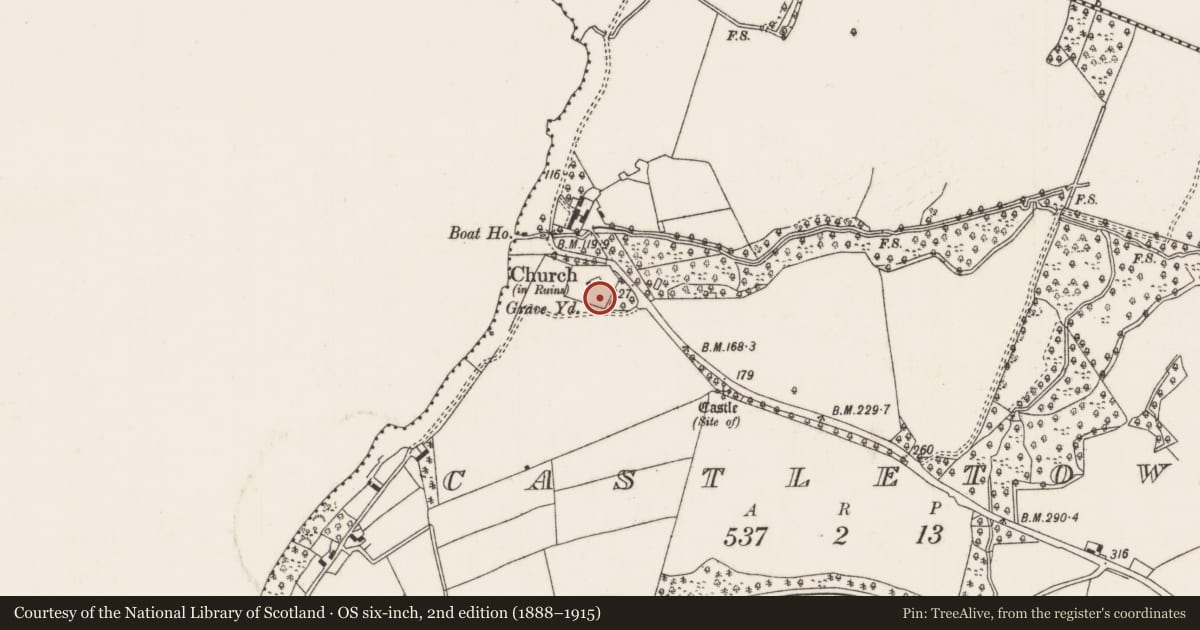 Ordnance Survey six-inch map, 2nd edition (1888–1915) covering the location of Graveyard, Castletown (Castletownarra Par.), County Tipperary North, with a pin at the register's coordinates