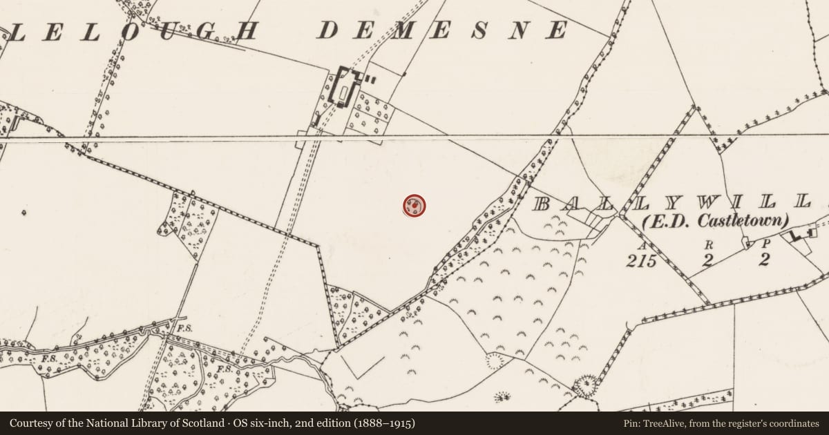 Ordnance Survey six-inch map, 2nd edition (1888–1915) covering the location of Ringfort - rath, Castlelough, County Tipperary North, with a pin at the register's coordinates