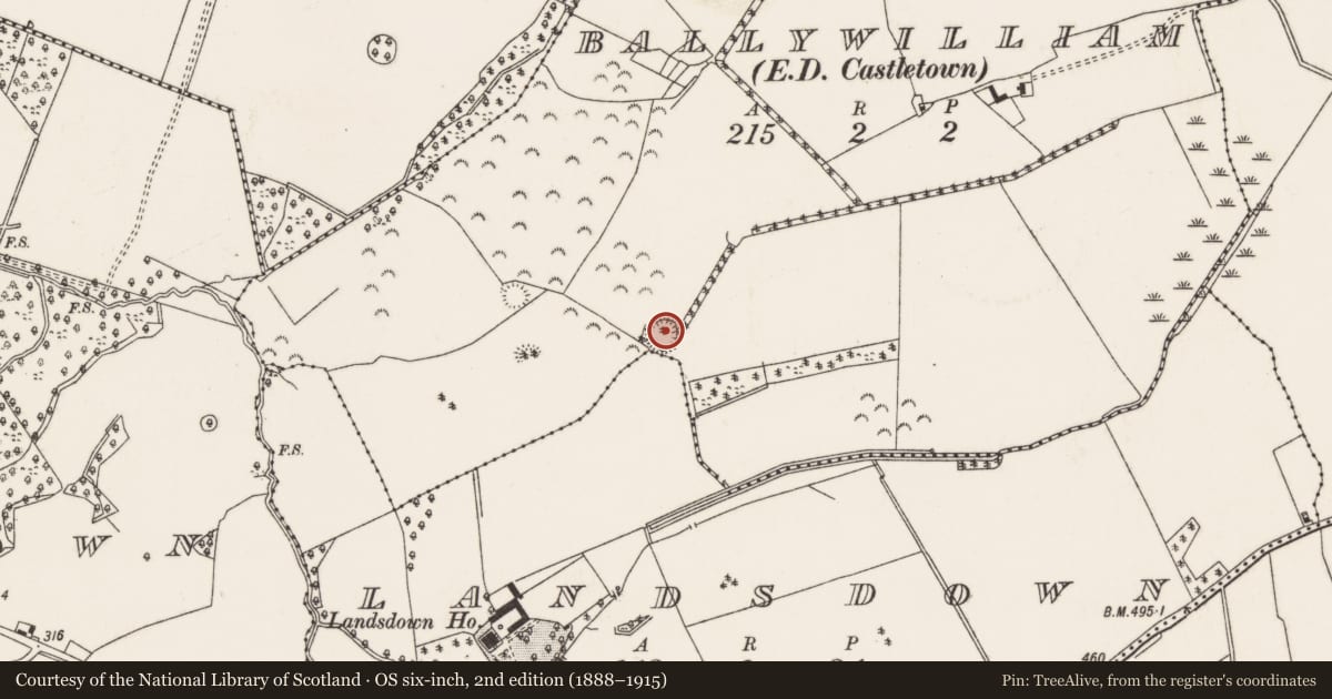 Ordnance Survey six-inch map, 2nd edition (1888–1915) covering the location of Ringfort - rath, Ballywilliam (Castletownarra Par.), Landsdown, County Tipperary North, with a pin at the register's coordinates
