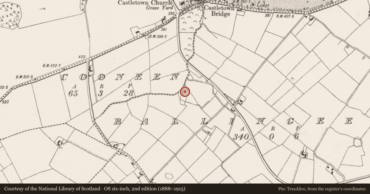 Ordnance Survey six-inch map, 2nd edition (1888–1915) covering the location of Ringfort - rath, Ballingeer, County Tipperary North, with a pin at the register's coordinates