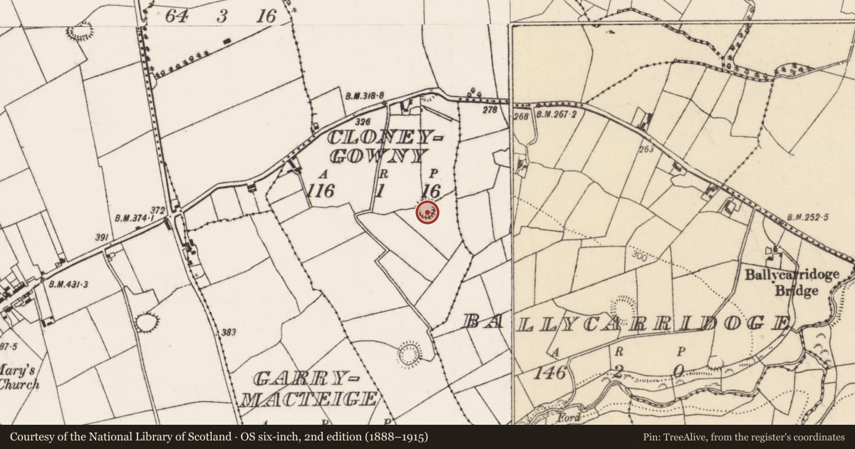 Ordnance Survey six-inch map, 2nd edition (1888–1915) covering the location of Ringfort - rath, Cloneygowny, County Tipperary North, with a pin at the register's coordinates