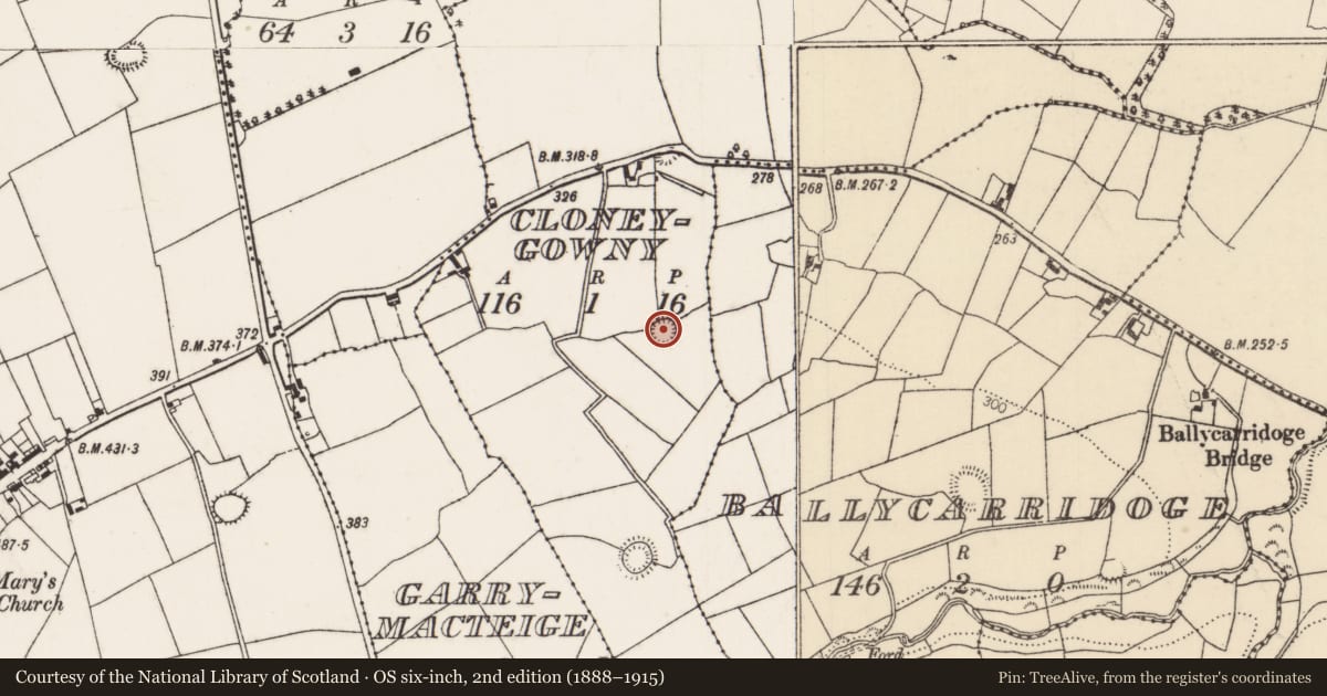Ordnance Survey six-inch map, 2nd edition (1888–1915) covering the location of Bullaun stone, Cloneygowny, County Tipperary North, with a pin at the register's coordinates