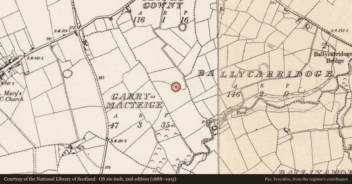 Ordnance Survey six-inch map, 2nd edition (1888–1915) covering the location of Ringfort - rath, Cloneygowny, County Tipperary North, with a pin at the register's coordinates