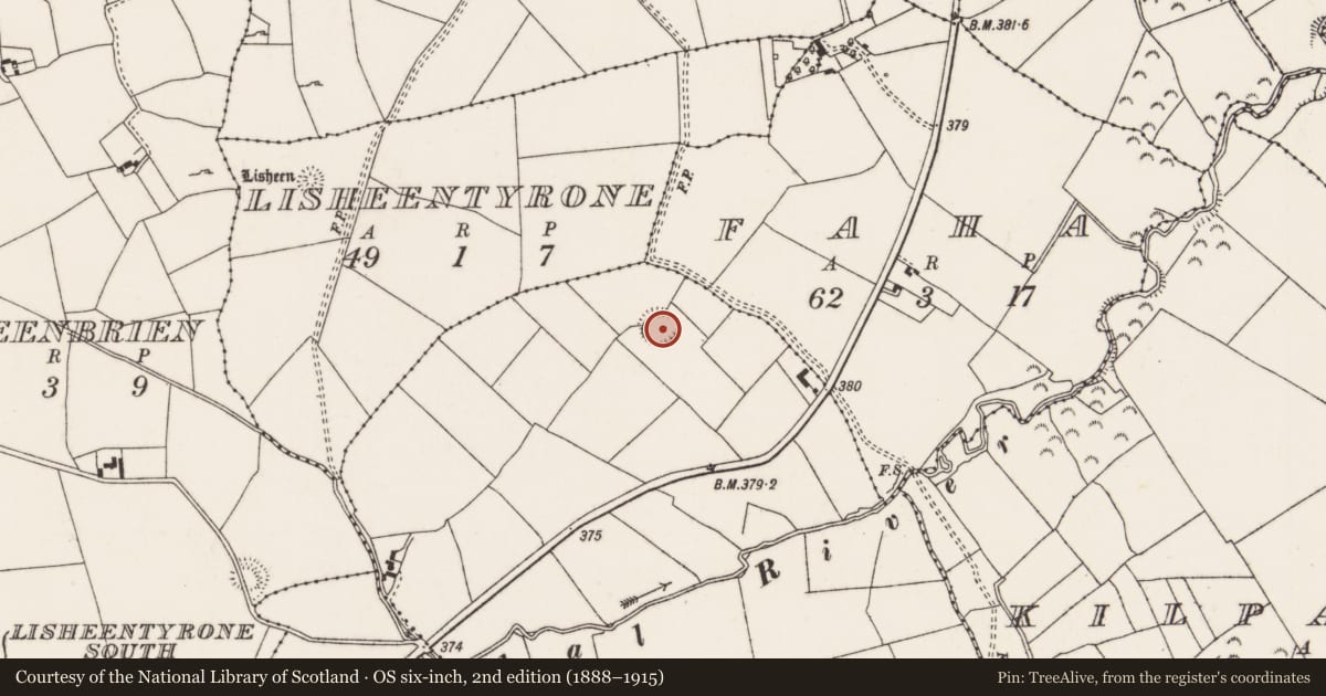 Ordnance Survey six-inch map, 2nd edition (1888–1915) covering the location of Enclosure, Curragh (Castletownarra Par.), County Tipperary North, with a pin at the register's coordinates