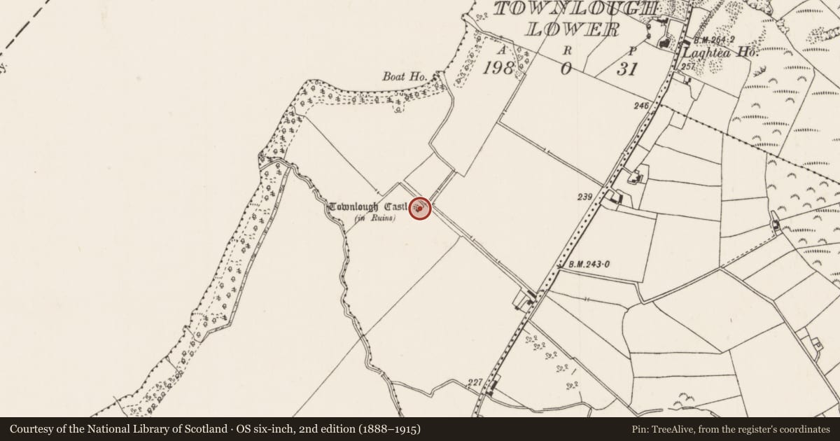 Ordnance Survey six-inch map, 2nd edition (1888–1915) covering the location of Castle - tower house, Townlough Lower, County Tipperary North, with a pin at the register's coordinates