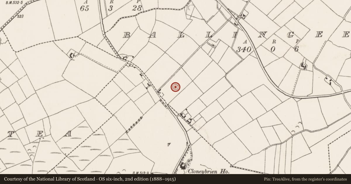 Ordnance Survey six-inch map, 2nd edition (1888–1915) covering the location of Enclosure, Ballingeer, County Tipperary North, with a pin at the register's coordinates