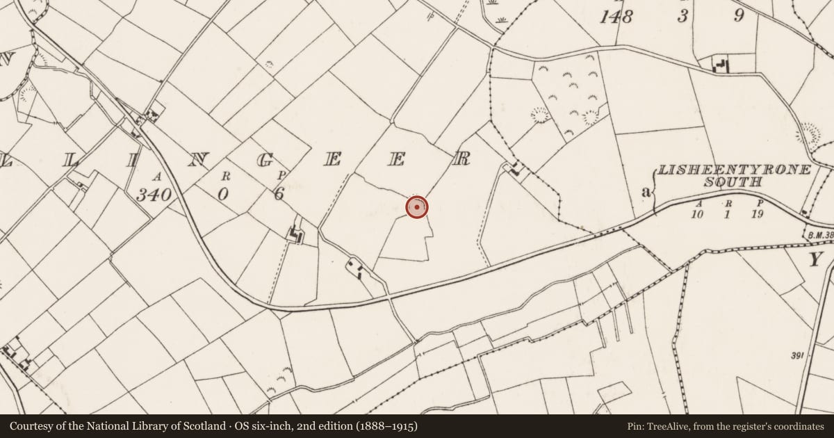Ordnance Survey six-inch map, 2nd edition (1888–1915) covering the location of Enclosure, Ballingeer, County Tipperary North, with a pin at the register's coordinates