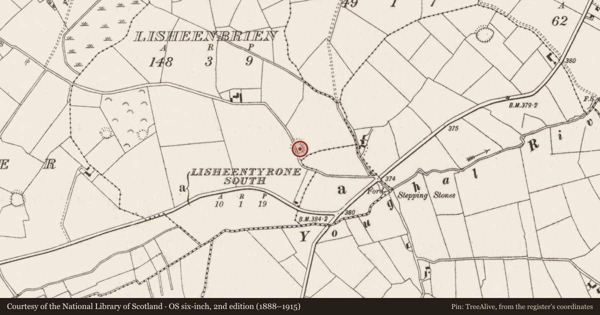 Ordnance Survey six-inch map, 2nd edition (1888–1915) covering the location of Enclosure, Lisheenbrien, County Tipperary North, with a pin at the register's coordinates
