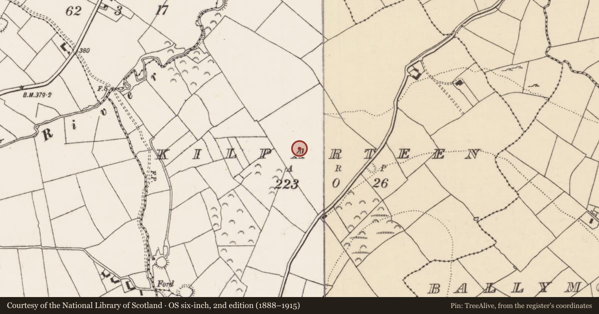 Ordnance Survey six-inch map, 2nd edition (1888–1915) covering the location of Cupmarked stone, Kilparteen, County Tipperary North, with a pin at the register's coordinates