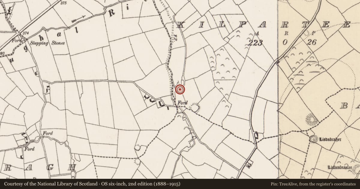 Ordnance Survey six-inch map, 2nd edition (1888–1915) covering the location of Ringfort - rath, Kilparteen, County Tipperary North, with a pin at the register's coordinates