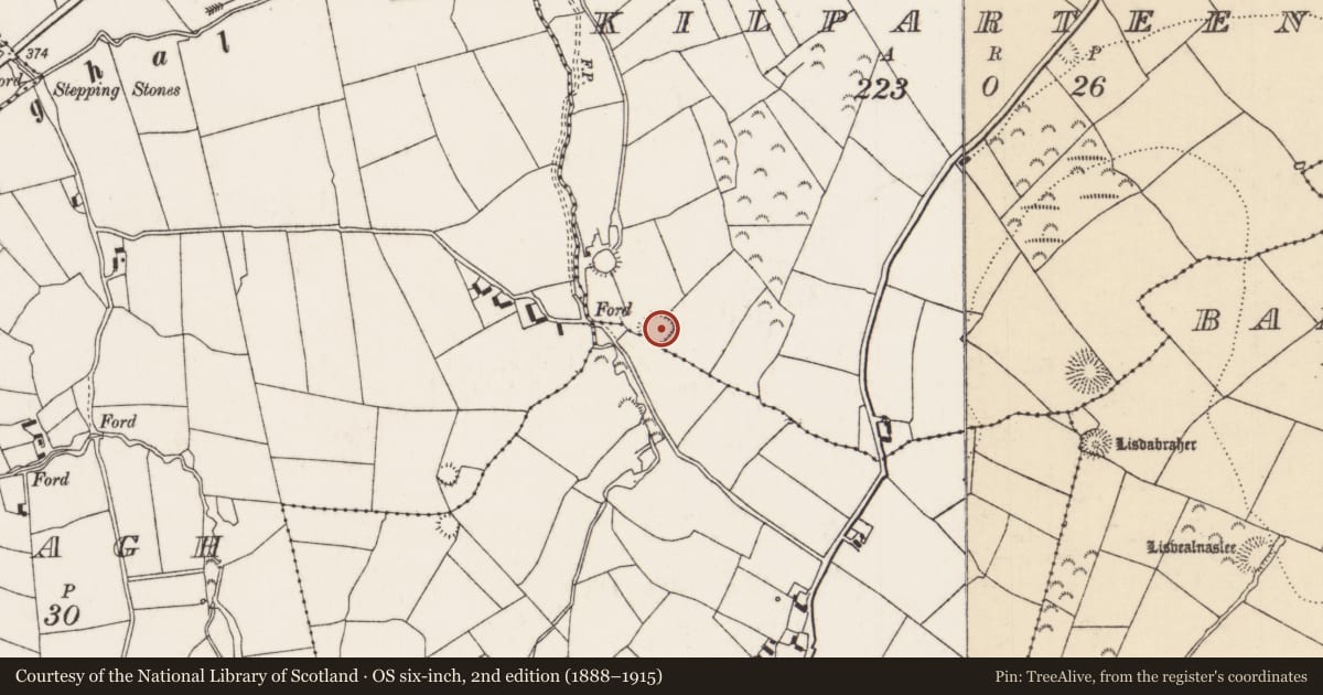 Ordnance Survey six-inch map, 2nd edition (1888–1915) covering the location of Enclosure, Kilparteen, Lackamore (Castletownarra Par.), County Tipperary North, with a pin at the register's coordinates