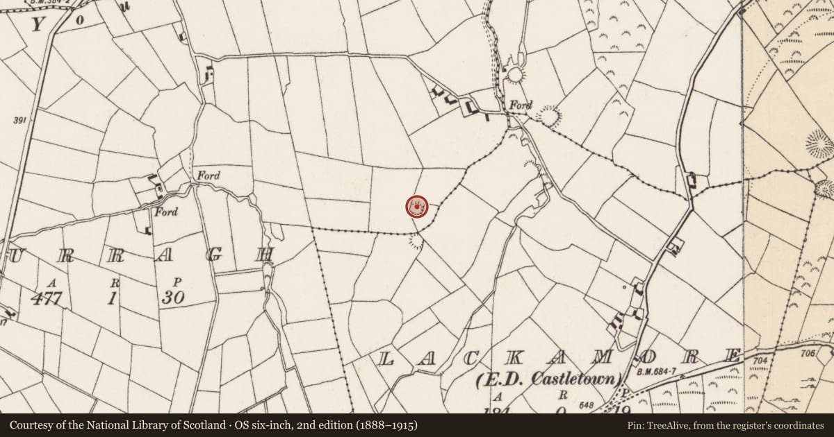 Ordnance Survey six-inch map, 2nd edition (1888–1915) covering the location of Ringfort - rath, Curragh (Castletownarra Par.), County Tipperary North, with a pin at the register's coordinates