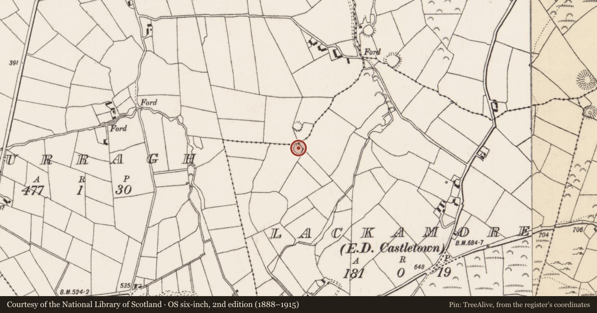 Ordnance Survey six-inch map, 2nd edition (1888–1915) covering the location of Enclosure, Curragh (Castletownarra Par.), Lackamore (Castletownarra Par.), County Tipperary North, with a pin at the register's coordinates