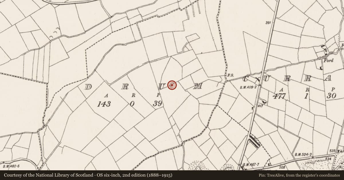 Ordnance Survey six-inch map, 2nd edition (1888–1915) covering the location of Enclosure, Drum (Castletownarra Par.), County Tipperary North, with a pin at the register's coordinates