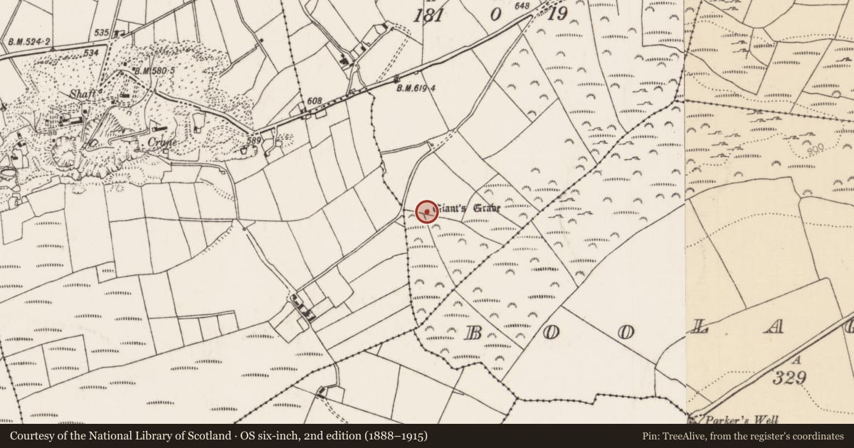 Ordnance Survey six-inch map, 2nd edition (1888–1915) covering the location of Megalithic tomb - wedge tomb, Lackamore (Castletownarra Par.), County Tipperary North, with a pin at the register's coordinates
