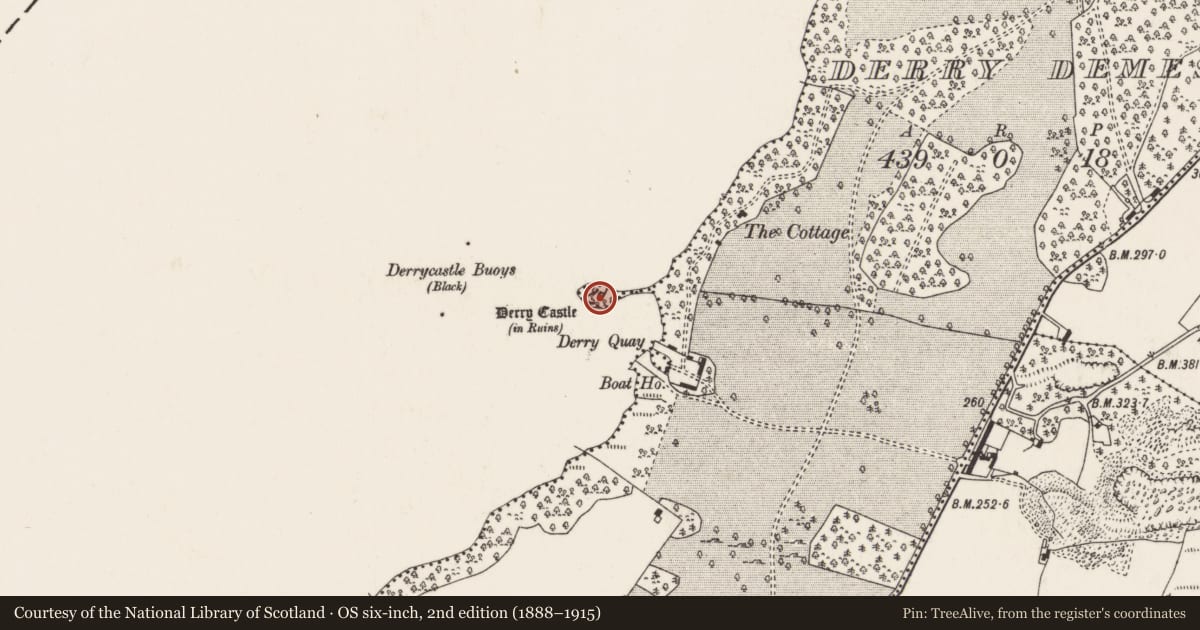 Ordnance Survey six-inch map, 2nd edition (1888–1915) covering the location of Castle - tower house, Derry Demesne, County Tipperary North, with a pin at the register's coordinates