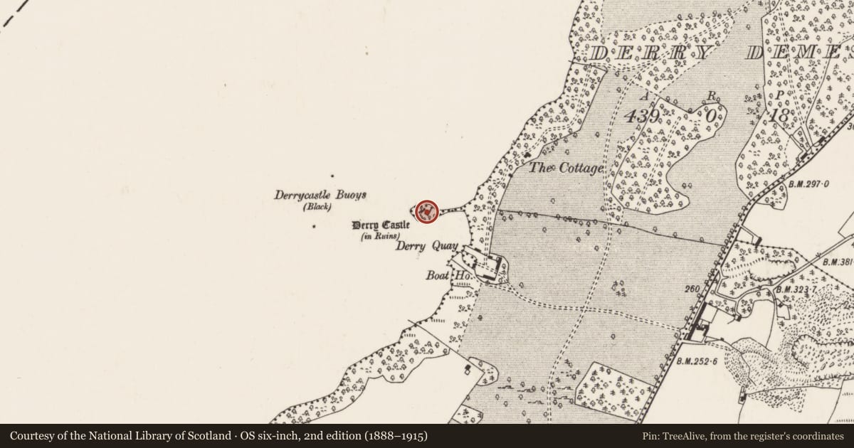 Ordnance Survey six-inch map, 2nd edition (1888–1915) covering the location of Bawn, Derry Demesne, County Tipperary North, with a pin at the register's coordinates
